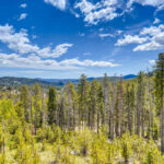 Best Places to Live Colorado Evergreen